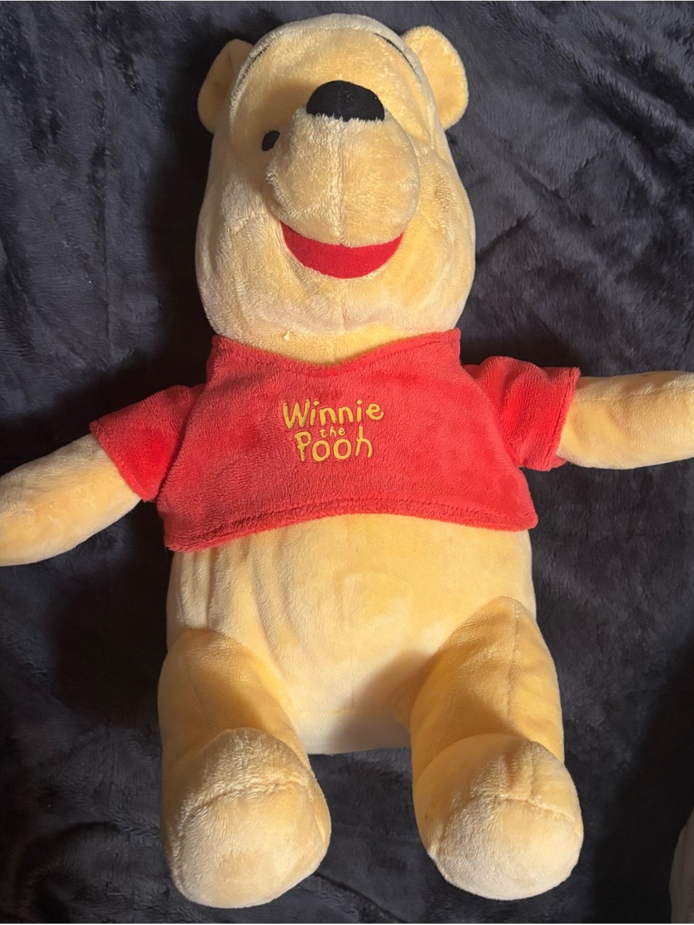 Disney Winnie the Pooh Plush in Yellow and Red